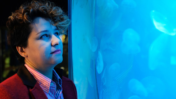 Frau Jamileh Javidpour schaut in ein Aquarium mit Ohrenquallen.
