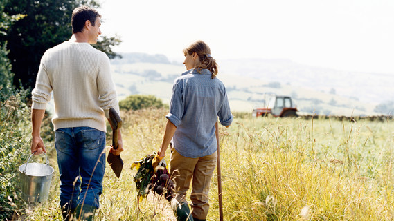 Ein Pärchen macht nach getaner Ernte einen Spaziergang über das Feld.