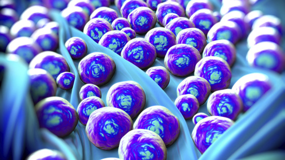 Multiresistente Keime