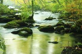 Ein Fluss schlängelt sich durch eine unberührte Landschaft. 