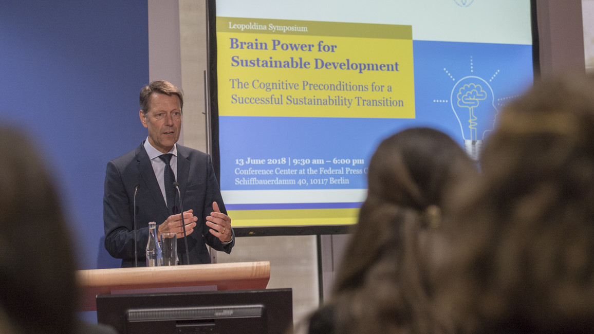 Brain Power for Sustainable Development