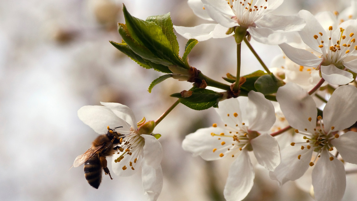 Sichere und gesunde Ernährung Sichere und gesunde Ernährung