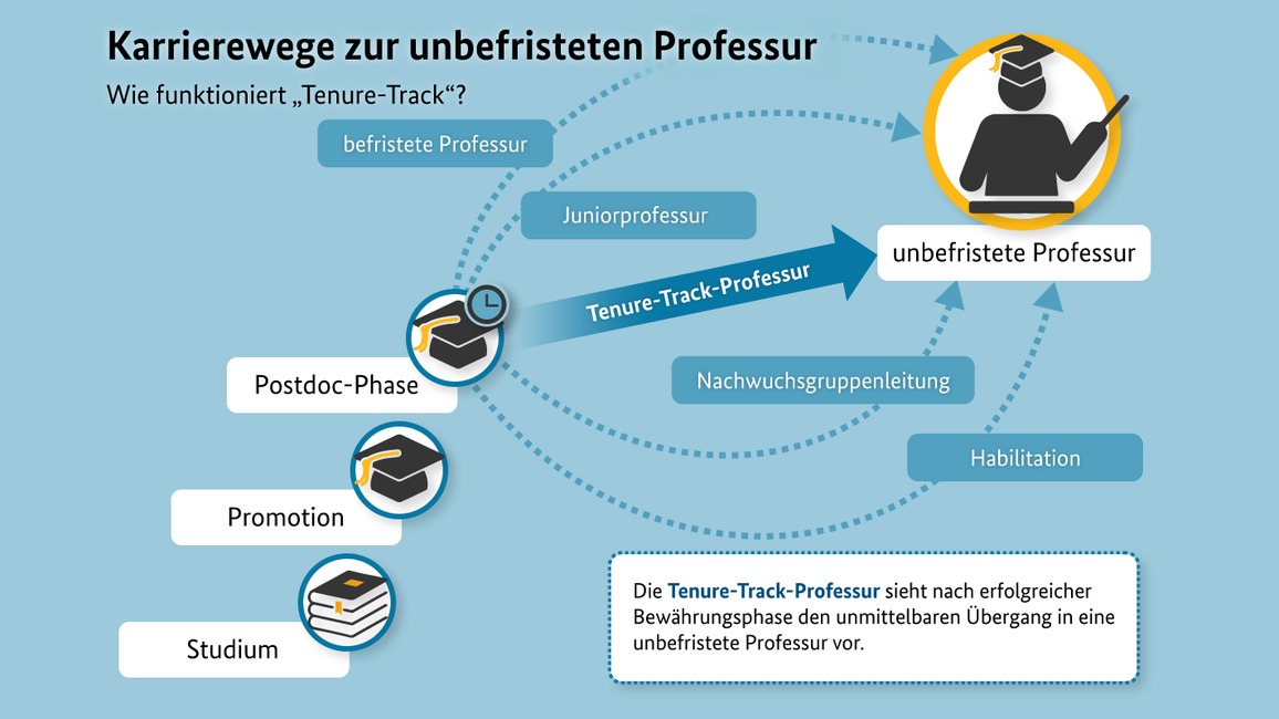 Das Tenure Track Programm Bmbf