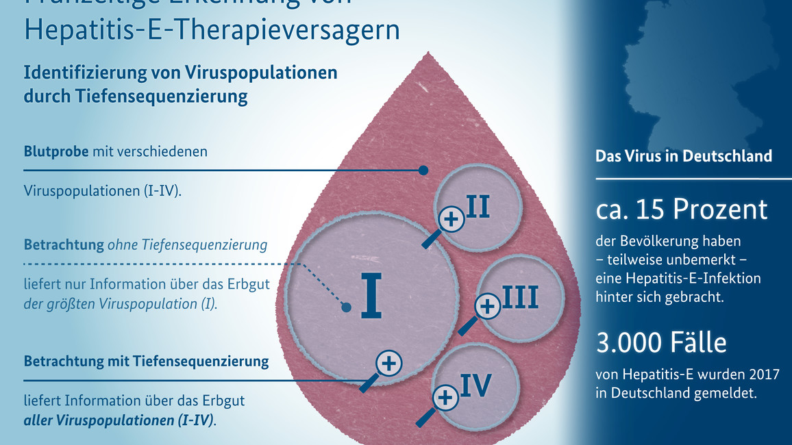 Hepatitis E Wir Konnen Die Chance Auf Heilung Vorhersagen Bmbf