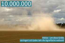 10.000.000 Hektar - um diese Größe verringert sich jedes Jahr die Agrarfläche weltweit