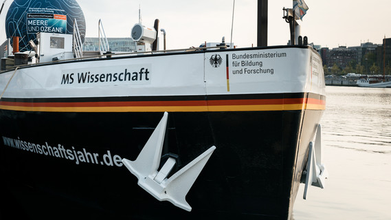 Bug der MS Wissenschaft.