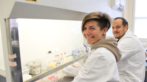 Mitarbeiter des Projektteams arbeiten im Labor an Gewebeproben für das 3D-Modell zur Knochenheilung.