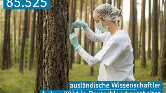 85.525 ausländische Wissenschaftler haben 2014 in Deutschland gearbeitet