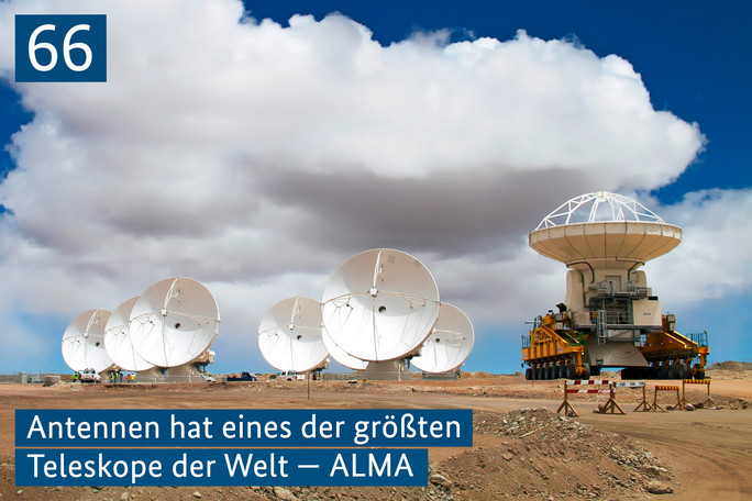 Zahl der Woche