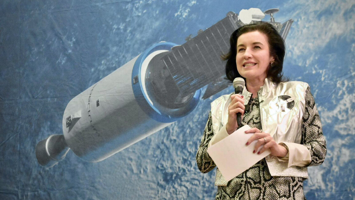 Bär spricht in ein Mikro